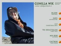 statistik för gunillawik 