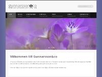 liten gunnarsson-co.se skärmbild liten gunnarsson-co.se skärmbild