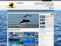 Welcome to H2O Madeira | H2O Madeira Welcome to H2O Madeira | H2O Madeira