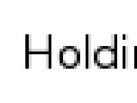 Holding Page Holding Page