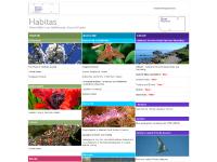 habitas.org Habitas, National Museums Northern Ireland, Ulster Museum habitas.org Habitas, National Museums Northern Ireland, Ulster Museum