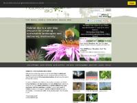 Help save native habitats and promote biodiversity in the UK Help save native habitats and promote biodiversity in the UK