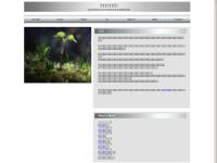 イタãƒé§†é™¤ã‚’知ã‚ㆠイタãƒé§†é™¤ã‚’知ã‚ã†