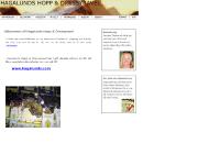 statistik för hagalundshoppdressyravel - index