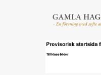 liten hagalundsvanner.se skärmbild liten hagalundsvanner.se skärmbild