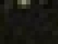 Hallandsägg - Falkenberg, ägg, höns, ekologisk, frigående, Stjärnägg Hallandsägg - Falkenberg, ägg, höns, ekologisk, frigående, Stjärnägg