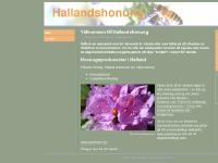 hallandshonung.se biodlare, halland, honung hallandshonung.se biodlare, halland, honung