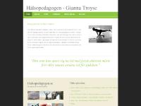  Kost, Träning, Mäta Hälsa, Myter