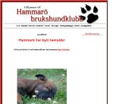 liten hammarobk.se skärmbild liten hammarobk.se skärmbild