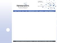 liten hammarstroms.se skärmbild liten hammarstroms.se skärmbild