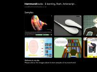 HammondMedia - Freelance E-learning Design & Development