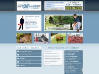 hampshirepest.co.uk Hampshire Wasp Removal, Hampshire Mouse Control, Rat Control hampshirepest.co.uk Hampshire Wasp Removal, Hampshire Mouse Control, Rat Control