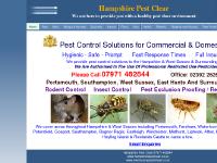 Squirrels, Insects, Fleas, Ants Squirrels, Insects, Fleas, Ants