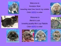 hampton-rabbits.co.uk hampton-rabbits.co.uk