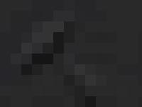 Hampton Roofing Solutions - Tiling, Slating, Flat Roofing, Guttering, Soffits and Hampton Roofing Solutions - Tiling, Slating, Flat Roofing, Guttering, Soffits and