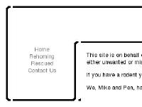 hamstercentral.org.uk rescue, rodent, hamster