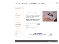 Hamster information - everything you need to know! - Hamster info homepage Hamster information - everything you need to know! - Hamster info homepage