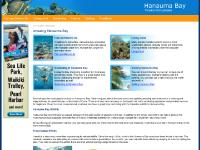 hanauma-bay-hawaii.com Fish and Marine life, Living coral, Snorkeling
