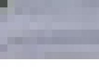 Hannedahls Hundservice