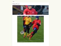 liten hanneman.se skärmbild liten hanneman.se skärmbild