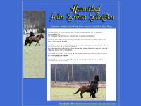 Välkommen till Hannbial från Gröna Gången