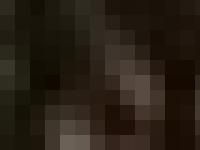 hans-brinker.com Hans Brinker Budget Hotel, Hans Brinker, Budget Hotel