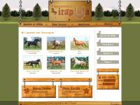 Haras Estância Irapuã - Os melhores cavalos estão aqui! Haras Estância Irapuã - Os melhores cavalos estão aqui!