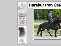 harekur.se harekur östergård ostergard c-tränare b-instruktör madde madelen johanson islandshäst islandshast hast häst turridning ridskola odegarden ödegården ridning ridlektion avel hingststation harekur.se harekur östergård ostergard c-tränare b-instruktör madde madelen johanson islandshäst islandshast hast häst turridning ridskola odegarden ödegården ridning ridlektion avel hingststation