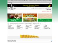 Harlequin Montessori Nursery Harlequin Montessori Nursery