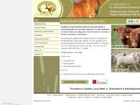 Local Meat, Restaurants & Pubs, Favourite Recipes, Cooking Tips  Local Meat, Restaurants & Pubs, Favourite Recipes, Cooking Tips