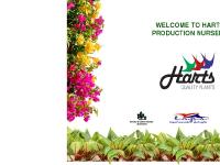 Harts Nursery Pty Ltd