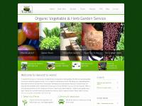 Vegetables, Arugula, Beets, Bok Choy  Vegetables, Arugula, Beets, Bok Choy