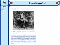 harwoodarabianstud.com harwoodarabianstud.com