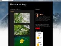 Hasses fotoblogg Hasses fotoblogg