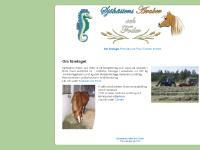 Sjöhästens Araber och Foder » Om företaget Sjöhästens Araber och Foder » Om företaget