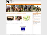 Startsida | Hästcentrum Boden Startsida | Hästcentrum Boden