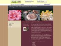 healingmushrooms.com chaga, dried mushrooms, edible mushrooms