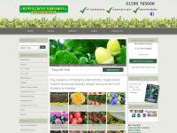 hedgesmart.co.uk hedges, hedge, hedging