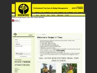 Tree Surgeons Surrey : Tree Surgeon in Surrey : Hedges 'N' Trees