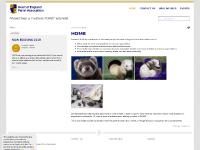 Home | Heart of England Ferret Association