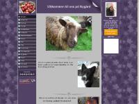  Australorp, Araucana, Hushållshönsen, Dvärgkochin