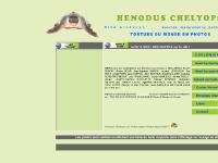 henodus.com henodus.com