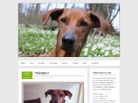 Harry & Hilja Harry & Hilja