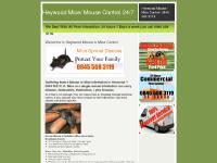 Heywood mouse control :Mouse extermination Heywood: Prevent mice Heywood mouse control :Mouse extermination Heywood: Prevent mice