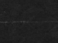 YEH ZEUS, ZOOS... subcultural faction whose principal interests are surf, skate, BMX YEH ZEUS, ZOOS... subcultural faction whose principal interests are surf, skate, BMX