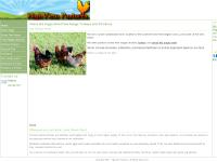Pasture Turkeys, Pasture Pork, Pumpkins, Our Family Farm Pasture Turkeys, Pasture Pork, Pumpkins, Our Family Farm