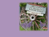 Welcome to Hillbilly Heaven Herbs Welcome to Hillbilly Heaven Herbs