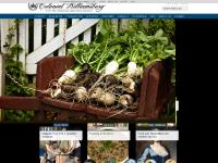 history.org history.org