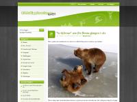 hittaUpplevelse.se - Bloggen hittaUpplevelse.se - Bloggen