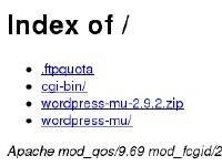 Index of /